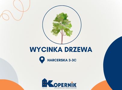 Wycinka drzewa - Harcerska 3-3C