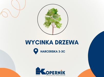 Wycinka drzewa - Harcerska 3-3C