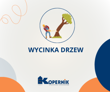 Wycinka drzew - Świętopełka 20-20c, 24-24c-1